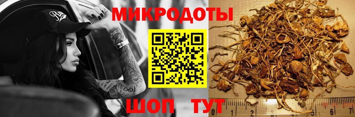 Псилоцибиновые грибы Psilocybine cubensis Нижнеудинск