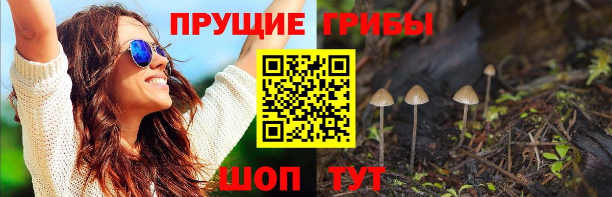 Нижнеудинск  Псилоцибиновые грибы ЛСД  Вход с VPN 